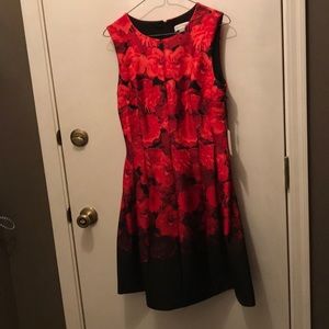 NWT Calvin Klein Fit and flare dress